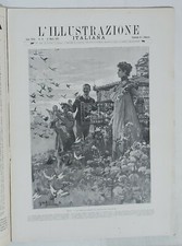15365 illustrazione italiana usato  Palermo