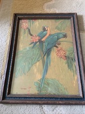 Usado, Litografia de araras vintage com moldura de madeira por Karl Plath 1927 com história comprar usado  Enviando para Brazil