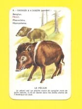 Carte ongulés doigts d'occasion  Nancy-