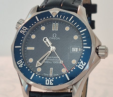 Mega seamaster professional gebraucht kaufen  Ludwigsburg