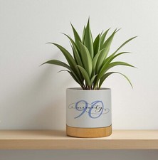 Personalised plant pot for sale  AYLESFORD