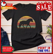 Fjord horse retro for sale  El Paso