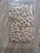 Usado, Citron caviar bio mix 30 Graines Citrus Australasica.  comprar usado  Enviando para Brazil