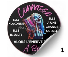 Stickers voiture connasse d'occasion  Saint-Martin-des-Besaces