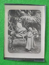 Photo egypte âne d'occasion  Piney