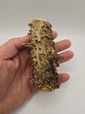 Real deer antler for sale  Red Bluff