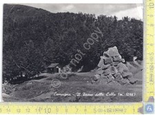 Cartolina postcard campigna usato  Milano