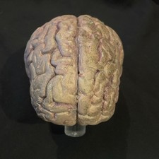 Original doctor brain for sale  BRACKLEY