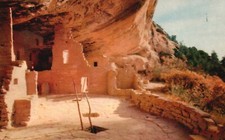 Cartão postal CO Mesa Verde Parque Nacional Abeto Árvore Ruína Cromado Vintage PC H3043 comprar usado  Enviando para Brazil