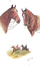 Horses man best for sale  BRIGG