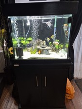 fish holding tanks for sale  NORTHOLT