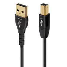 Audioquest pearl usb usato  Civita Castellana