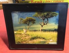 Peg harper cheetah for sale  Norwood