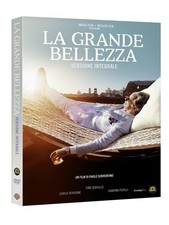 Dvd grande bellezza usato  Senago