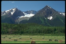 251087 chetwynd mountains for sale  UK