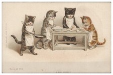 S8153 katzen schöne gebraucht kaufen  Hamburg