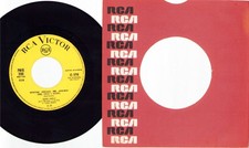 Vianello edoardo pinne usato Vianello edoardo pinne usato  Grottaferrata