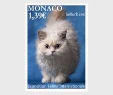Monaco 2025 cats d'occasion  Lille-