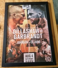 Ufc 227 framed for sale  HUNTINGDON