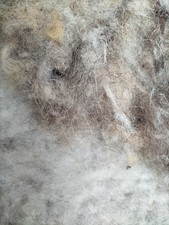 Garden bird nesting for sale Garden bird nesting for sale  DEESIDE