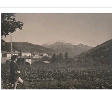 16178. fotografia vintage usato  Montevarchi