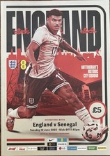 England senegal official d'occasion  Expédié en Belgium