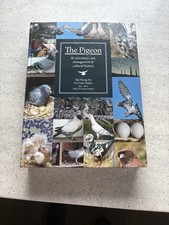 Pigeon. for sale  NEWPORT