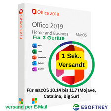 Microsoft ffice 2019 gebraucht kaufen  Essen