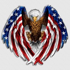 American flag bald for sale  Mercer