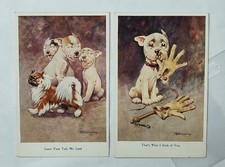 Cane cani cane usato  Italia