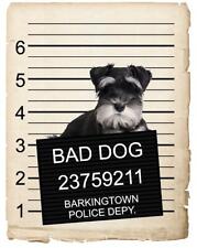 Miniature schnauzer mugshot for sale  Pottstown