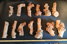 9kg apfelbaumholz bastelholz gebraucht kaufen  Schotten