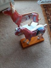 Acupuncture horse dog for sale  DORKING