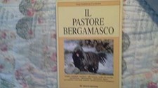 Pastore bergamasco aavv usato  Sesto San Giovanni