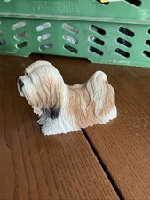 Lhasa apso leonardo for sale  SOUTHEND-ON-SEA