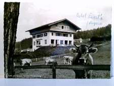 Allgäu cafe pension gebraucht kaufen  Aarbergen
