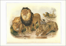 1990 vintage print for sale  Carmel Valley