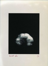 Photo photography still d'occasion  Expédié en Belgium