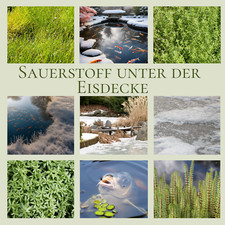 Wasserpflanzen wolff sauerstof gebraucht kaufen  Langerwehe