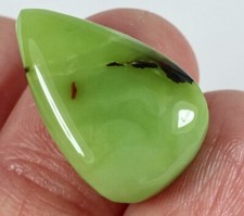 16ct african spiderweb for sale  Walnut