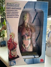 Addendo mensch torso gebraucht kaufen  Deutschland