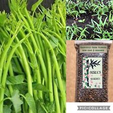 100g super buds for sale  Buras
