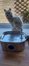 water cat fountain for sale water cat fountain for sale ASHFORD