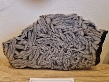 Pinolit slab gebraucht kaufen  Fockbek