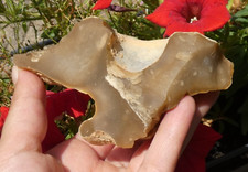 Nucléus silex 11x6cm d'occasion  Lagnieu