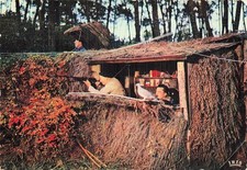 Landes palombiere d'occasion  France