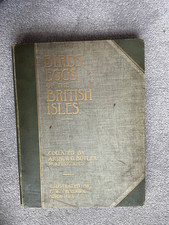 1904 birds eggs for sale  BRISTOL