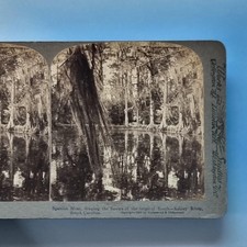 South ashley stereoview for sale  TELFORD