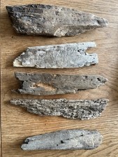 25cm flat ish for sale  CLACTON-ON-SEA