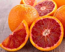 Citrus sinensis tarocco usato  Napoli